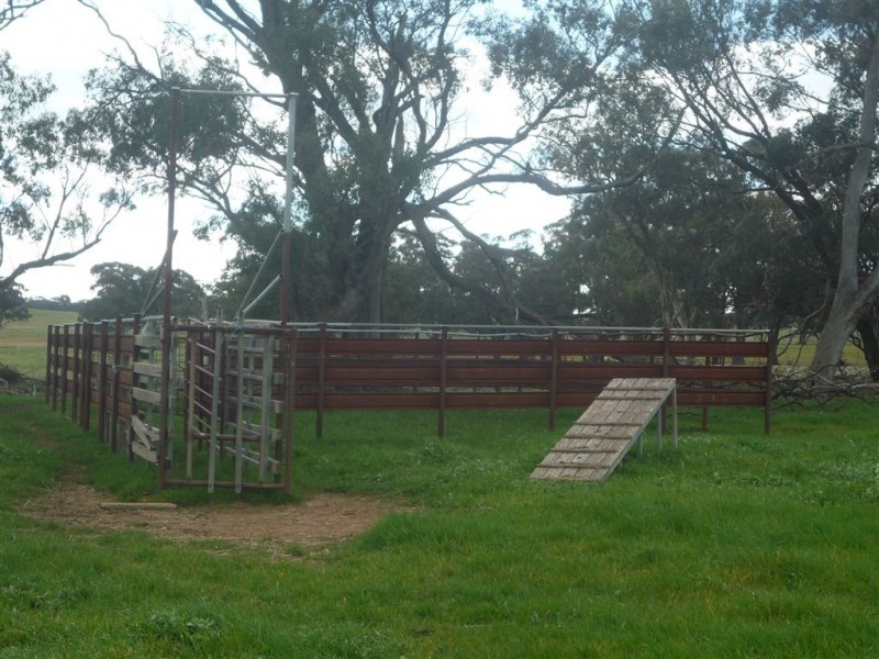 0 Fitzpatrick Road, St Arnaud VIC 3478
