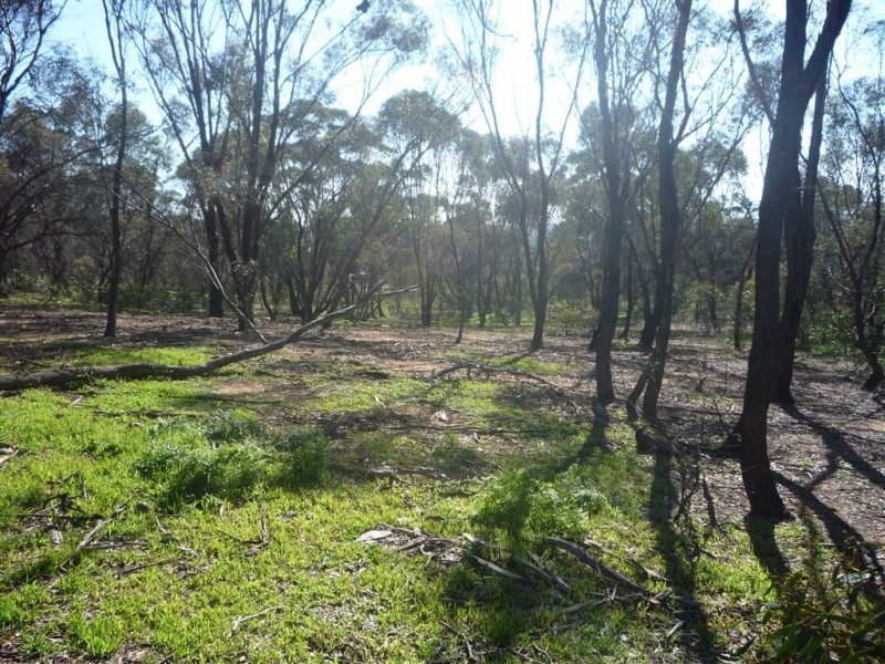 lot 1 BENBOW ROAD, St Arnaud VIC 3478