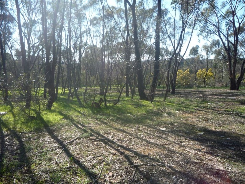 lot 1 BENBOW ROAD, St Arnaud VIC 3478