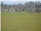 1293 DUNOLLY ROAD, Emu VIC 3475