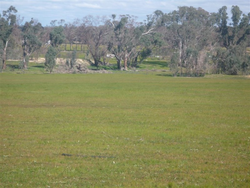 1293 DUNOLLY ROAD, Emu VIC 3475