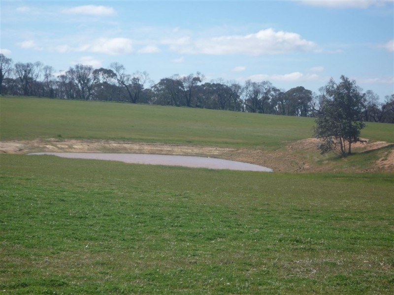 1293 DUNOLLY ROAD, Emu VIC 3475