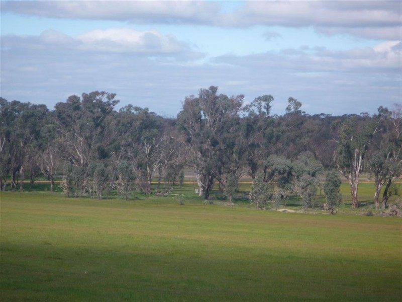 1293 DUNOLLY ROAD, Emu VIC 3475
