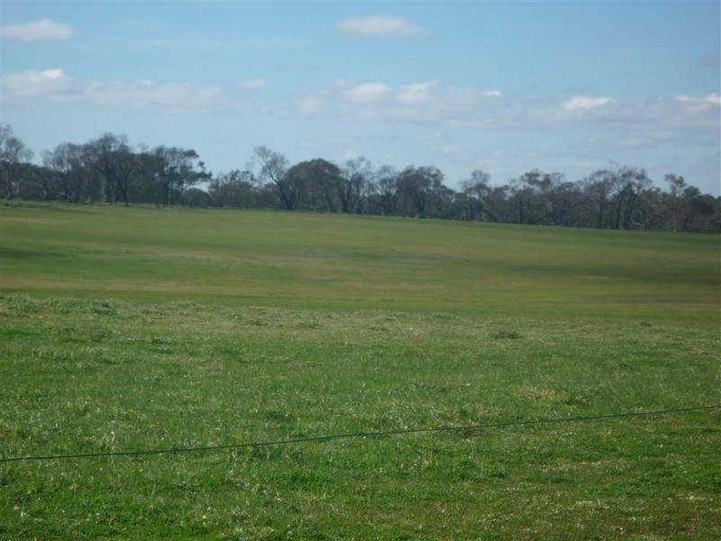 1293 DUNOLLY ROAD, Emu VIC 3475