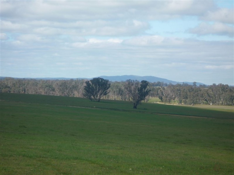 1293 DUNOLLY ROAD, Emu VIC 3475