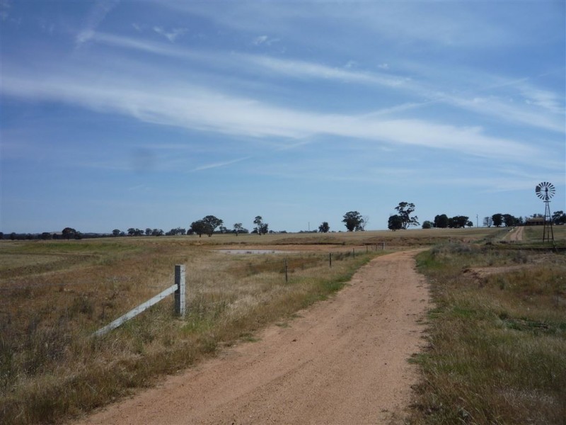 Kooreh VIC 3478