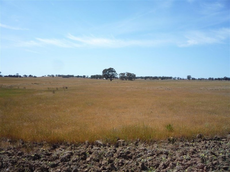 Kooreh VIC 3478