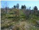 LOT 1 SUNRAYSIA HIGHWAY, St Arnaud VIC 3478