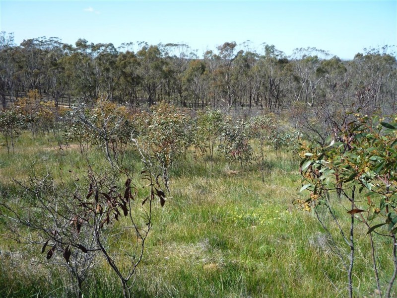 LOT 1 SUNRAYSIA HIGHWAY, St Arnaud VIC 3478