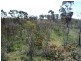 LOT 1 SUNRAYSIA HIGHWAY, St Arnaud VIC 3478
