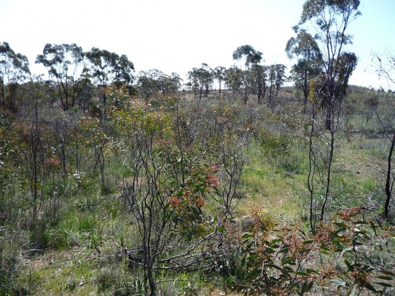 LOT 1 SUNRAYSIA HIGHWAY, St Arnaud VIC 3478