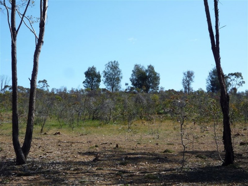 LOT 1 SUNRAYSIA HIGHWAY, St Arnaud VIC 3478