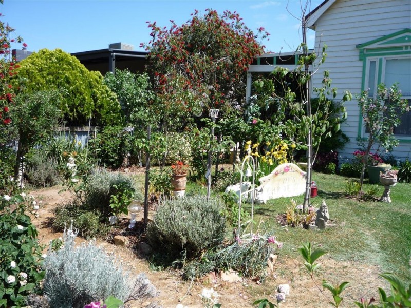 58 Alma st, St Arnaud VIC 3478