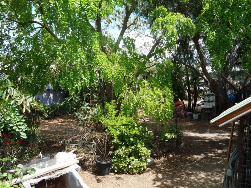 11 Kimberley Street, St Arnaud VIC 3478