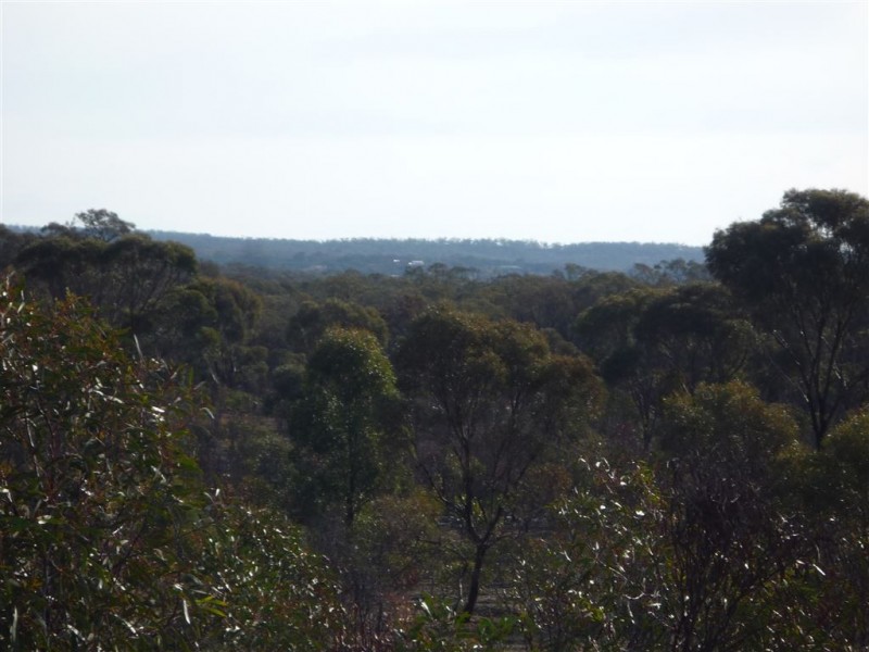 Lot 36 Kaye Road, St Arnaud VIC 3478