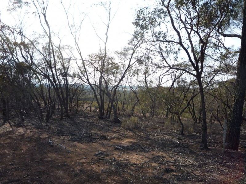 Lot 36 Kaye Road, St Arnaud VIC 3478