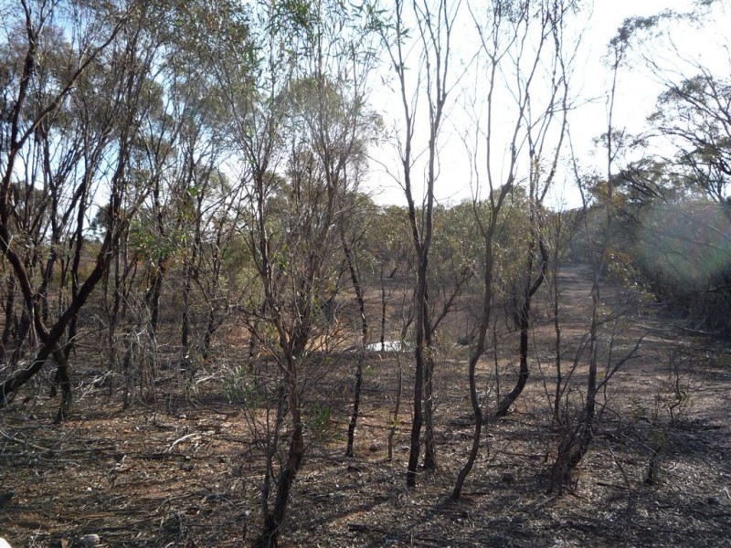 Lot 36 Kaye Road, St Arnaud VIC 3478