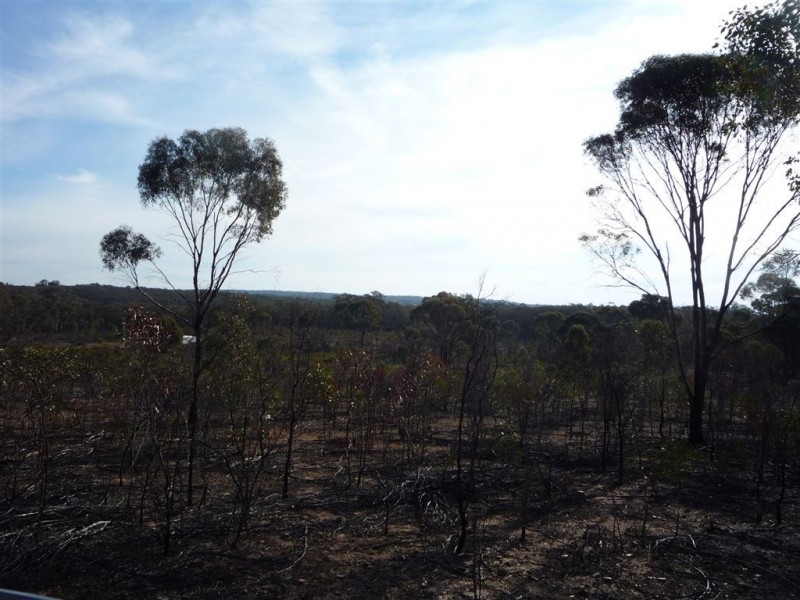 Lot 36 Kaye Road, St Arnaud VIC 3478