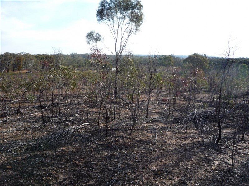 Lot 36 Kaye Road, St Arnaud VIC 3478