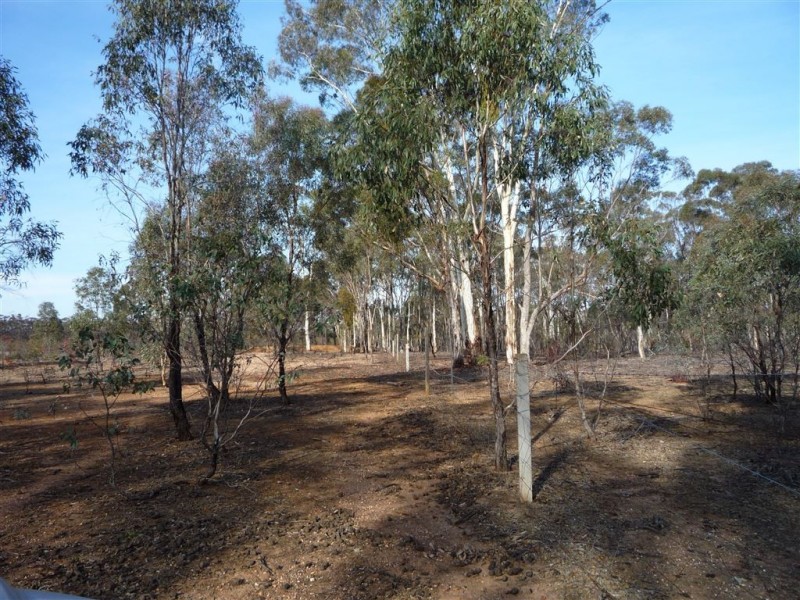 Lot 36 Kaye Road, St Arnaud VIC 3478