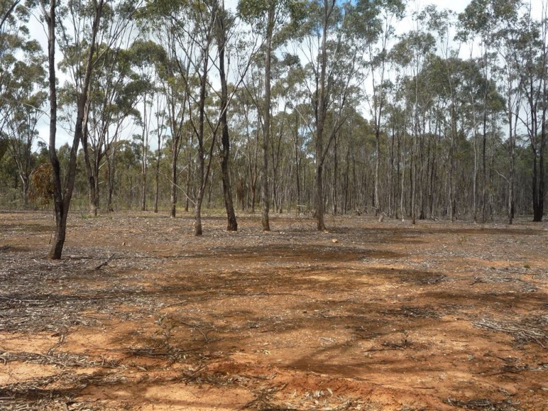 - Stanley Road, St Arnaud VIC 3478