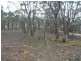 - Stanley Road, St Arnaud VIC 3478