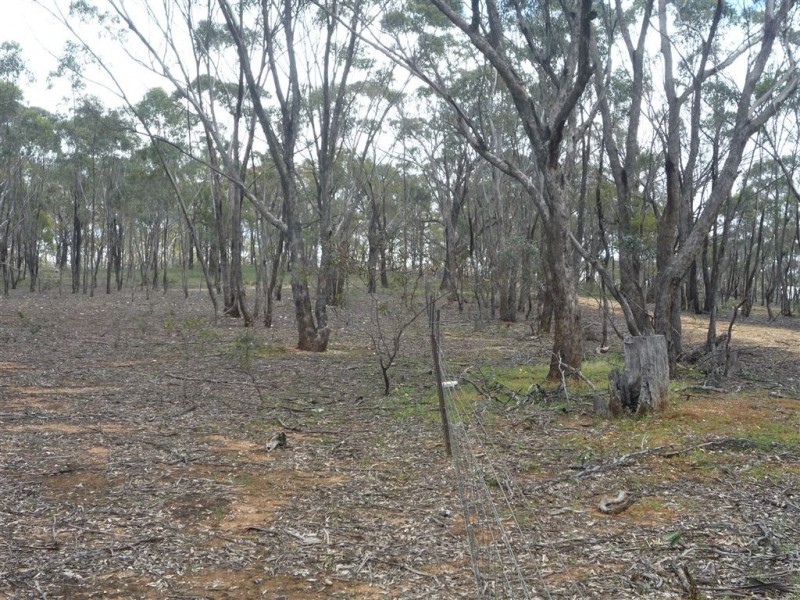 - Stanley Road, St Arnaud VIC 3478