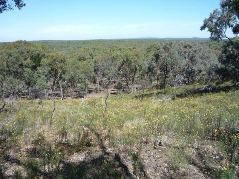 Lot 70, 71 Wimmera Highway, St Arnaud VIC 3478