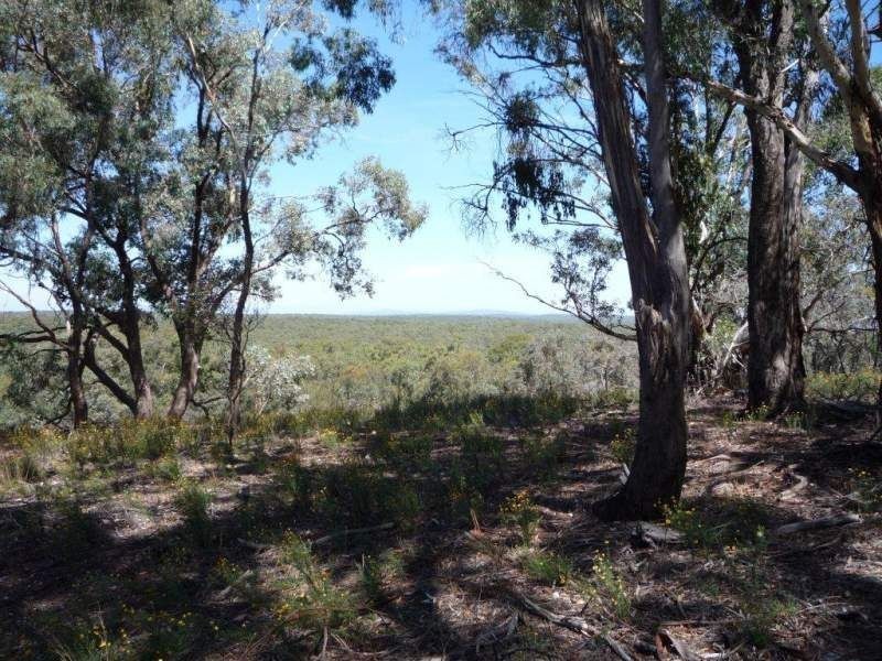 Lot 70, 71 Wimmera Highway, St Arnaud VIC 3478