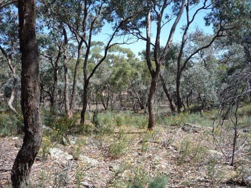 Lot 70, 71 Wimmera Highway, St Arnaud VIC 3478