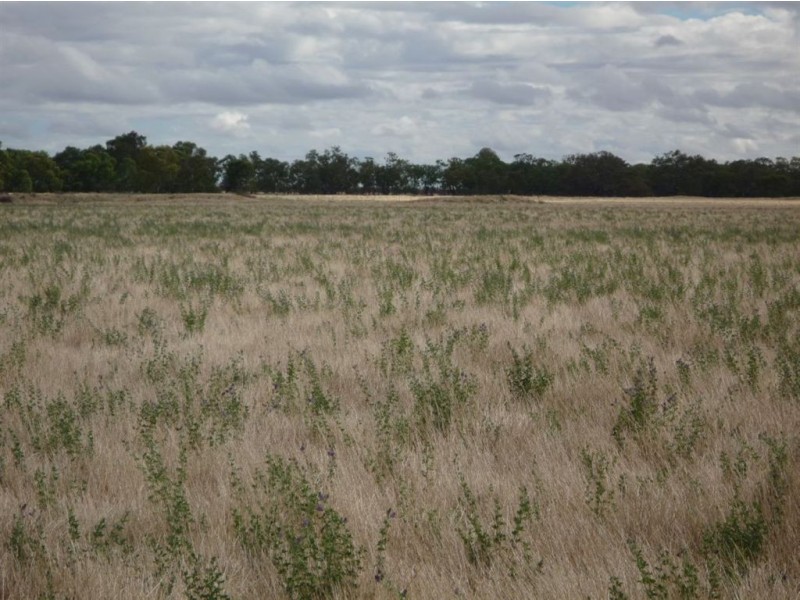 Lot 42-44 Muddy Waterholes Road, Banyena VIC 3388