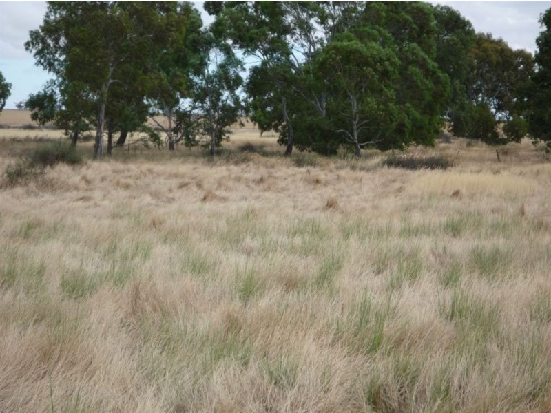 Lot 42-44 Muddy Waterholes Road, Banyena VIC 3388