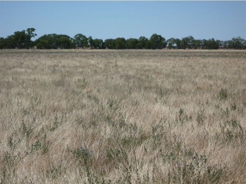 Lot 42-44 Muddy Waterholes Road, Banyena VIC 3388