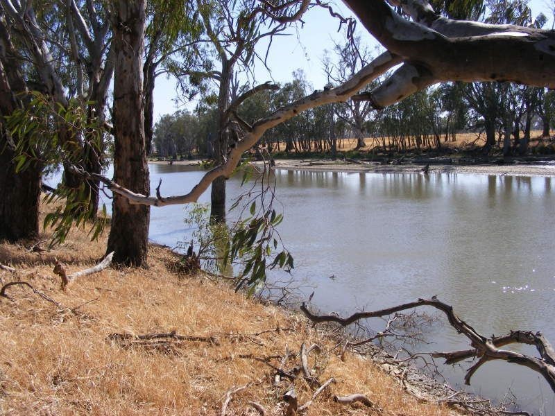 . Cudjella, Narrandera NSW 2700