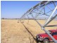 . Cudjella, Narrandera NSW 2700