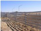. Cudjella, Narrandera NSW 2700