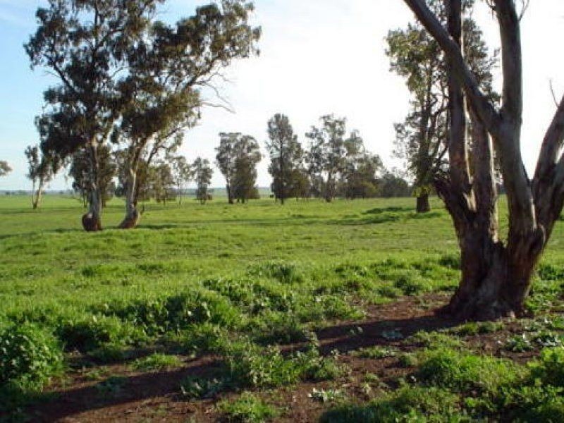 . Pine Avenue, Narrandera NSW 2700