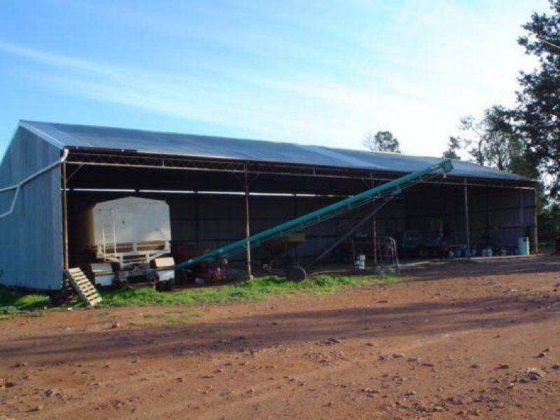 . Pine Avenue, Narrandera NSW 2700