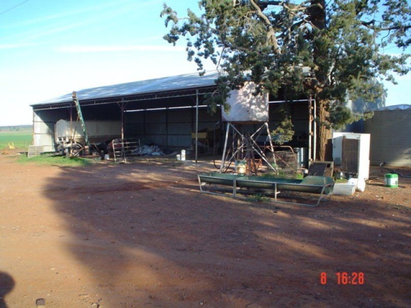 . Pine Avenue, Narrandera NSW 2700