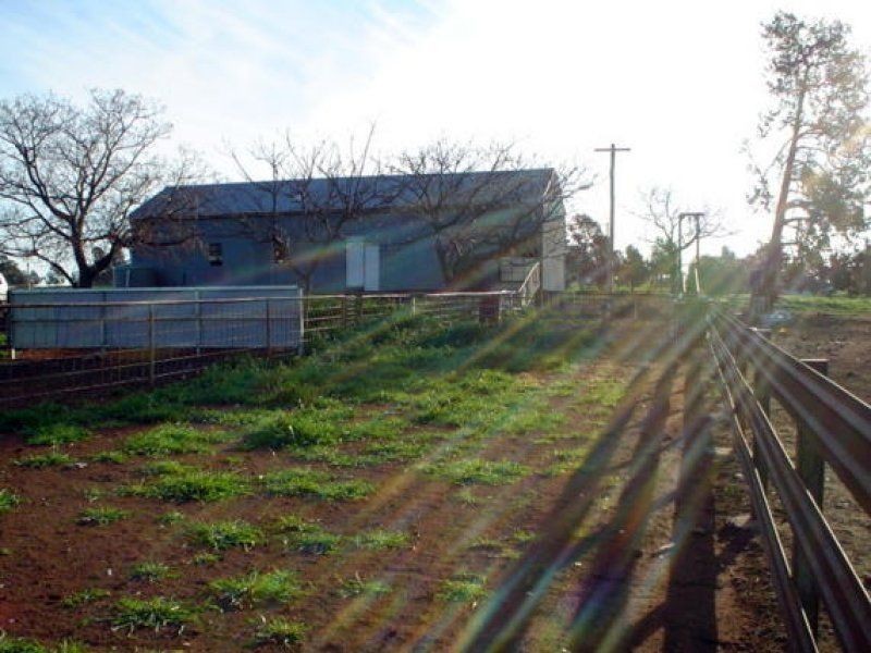 . Pine Avenue, Narrandera NSW 2700