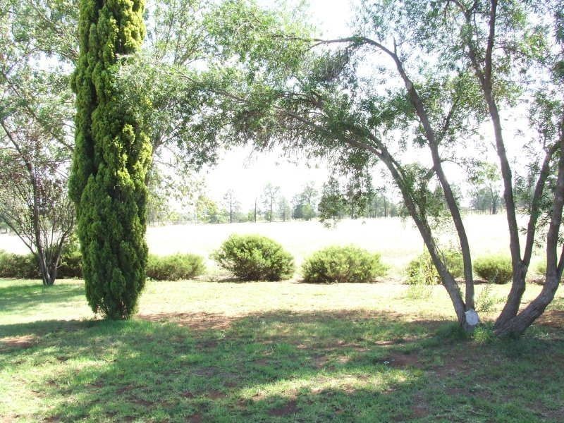 248 Pine Hill, Narrandera NSW 2700