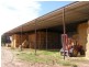 . Yamba, Narrandera NSW 2700