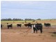 . Yamba, Narrandera NSW 2700