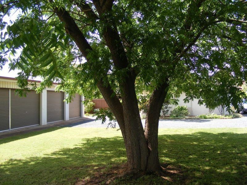 58 Narrandera, Narrandera NSW 2700