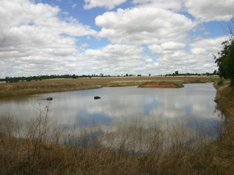 . ., Narrandera NSW 2700