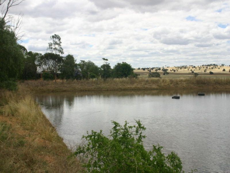 . ., Narrandera NSW 2700