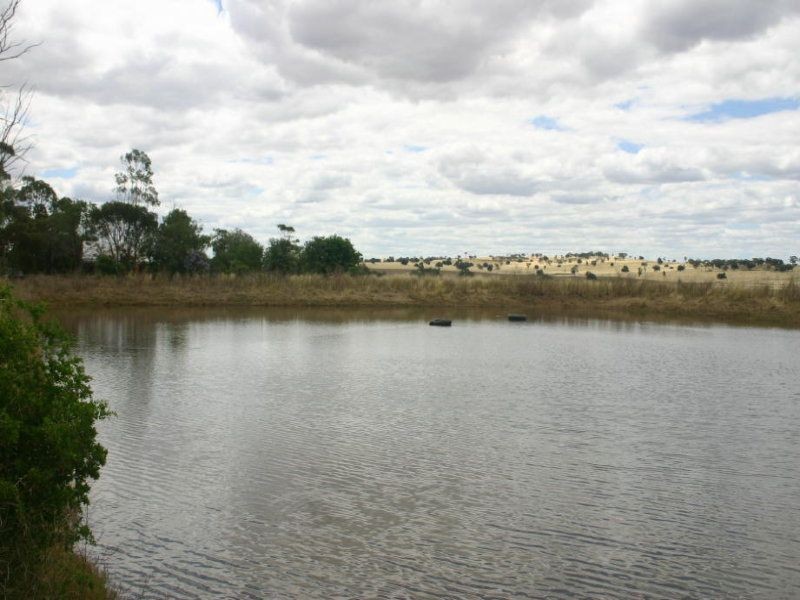 . ., Narrandera NSW 2700
