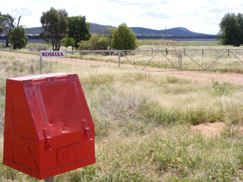 . Roselea, Narrandera NSW 2700
