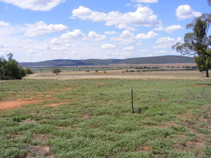 . Roselea, Narrandera NSW 2700