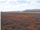 . Roselea, Narrandera NSW 2700